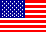 Flag of USA